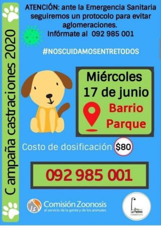 castraciones gratuitas